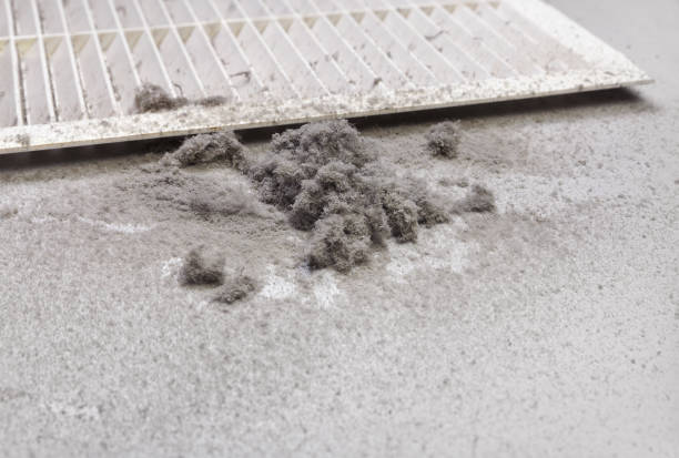 Best Affordable Duct Cleaning Services  in Newark, DE